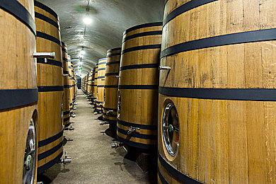 科隆：《帝国时代4》登陆Xbox平台 对应XGP